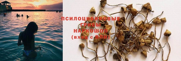 экстази Карпинск