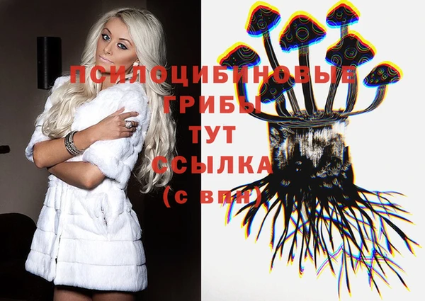 гидропоника Касимов
