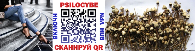 Псилоцибиновые грибы Psilocybine cubensis  ссылка на мегу рабочий сайт  Екатеринбург 