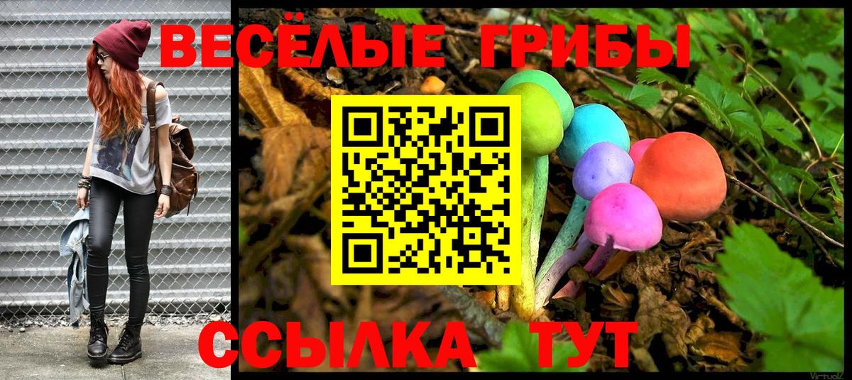 Екатеринбург  Галлюциногенные грибы Psilocybine cubensis  Вход с VPN  Псилоцибиновые грибы прущие грибы 