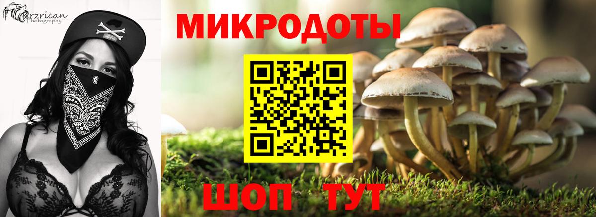 Псилоцибиновые грибы MAGIC MUSHROOMS Екатеринбург